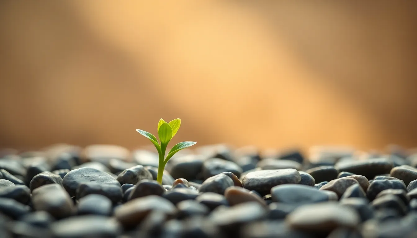 재테크와 투자 계획을 세우는 젊은 사회 초년생